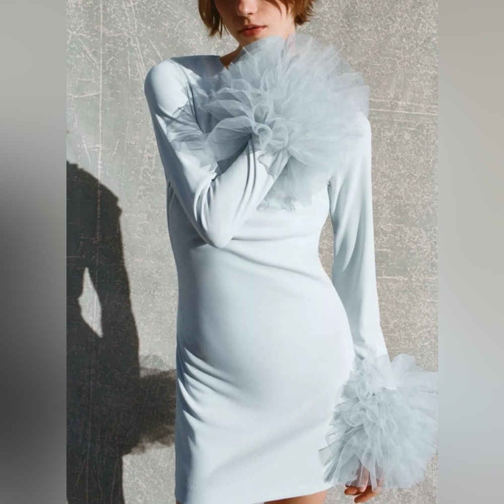 Zara Tulle Backless Dress